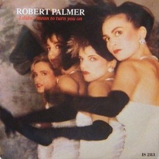 Robert Palmer ‎– I Didn't Mean To Turn You On (Vinyl, 7